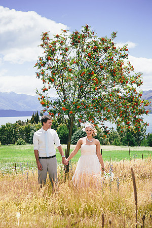 The Olive Grove, Wanaka