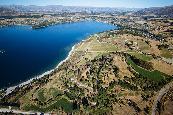 The Olive Grove, Wanaka