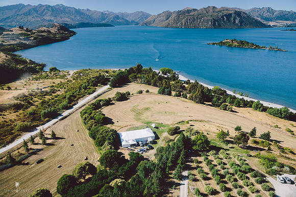 The Olive Grove, Wanaka