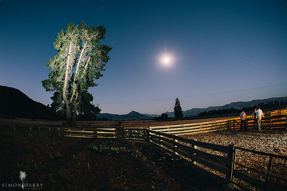Criffel Station Weddings