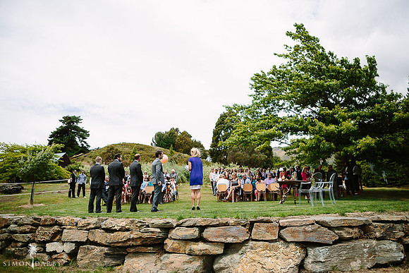 The Olive Grove, Wanaka