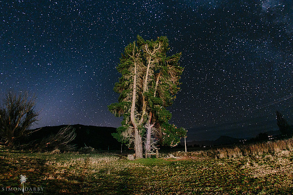 Criffel Station Weddings