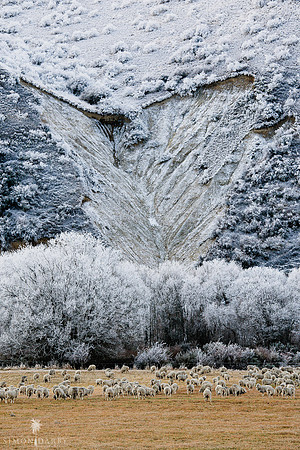 090623_Hoarfrost_016