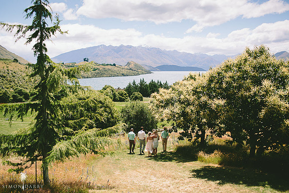 The Olive Grove, Wanaka