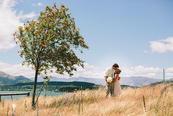 The Olive Grove, Wanaka